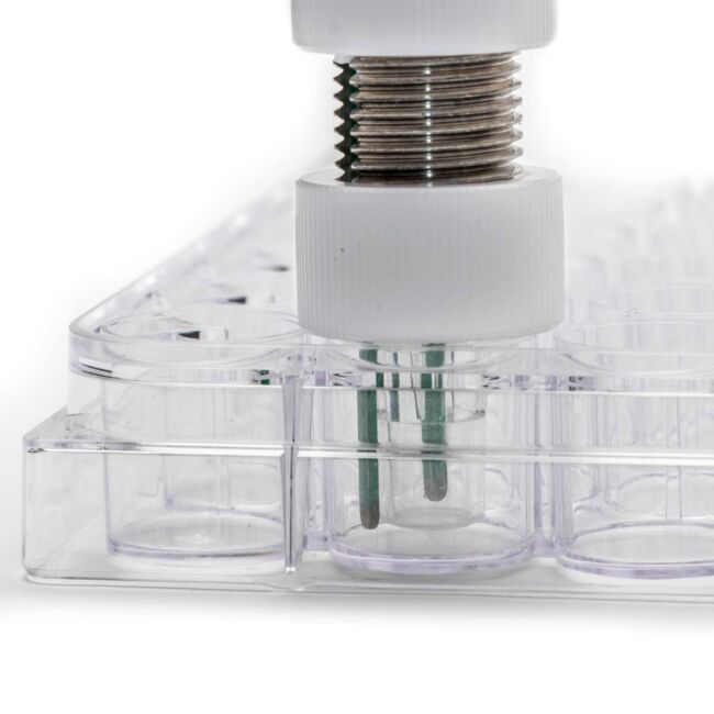 WPI EVOM STX4 Electrode for Sale - Gaia Science Singapore