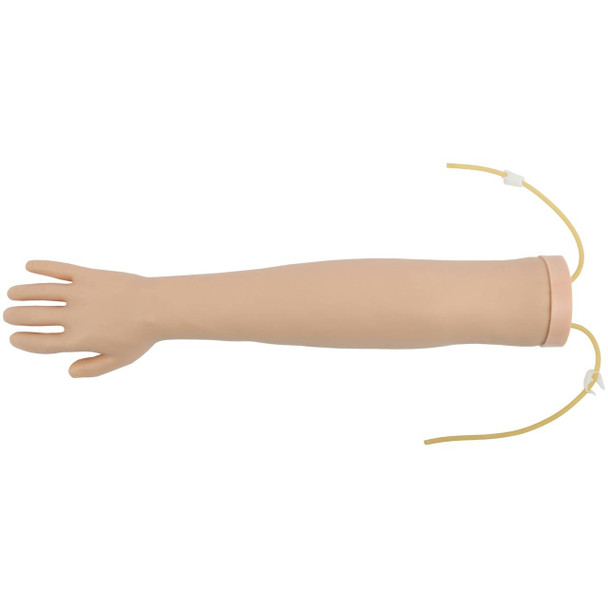 Anatomy Warehouse Anatomy Lab Venipuncture and IV Practice Arm Kit and ...