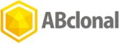 Abclonal 