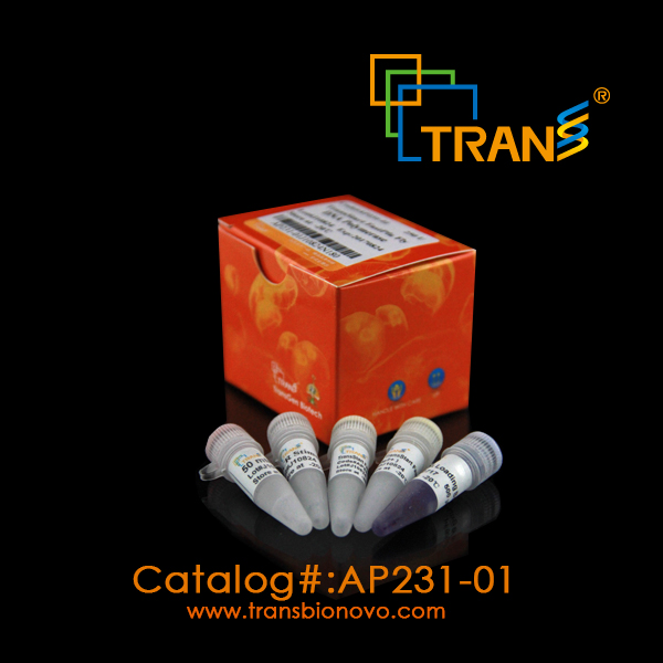 TransStart® FastPfu Fly DNA Polymerase