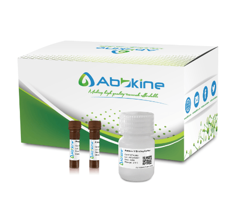 Annexin V-AbFluor™ 647 Apoptosis Detection Kit (Red Fluorescence)