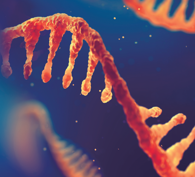 Oligonucleotide Purification