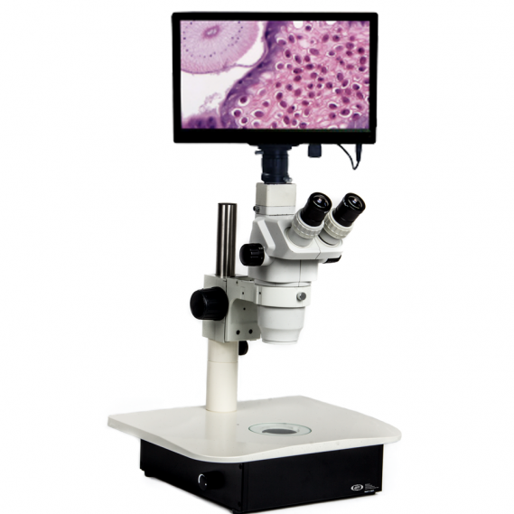 Teaching Microscope System