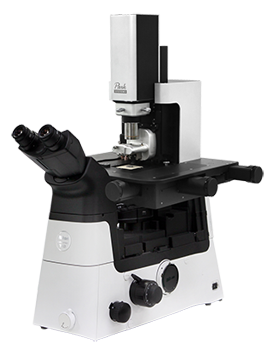 Park NX12 - Atomic Force Microscope