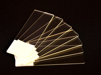 Microscope Slide-Standard
