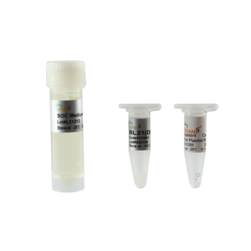 BL21(DE3) Chemically Competent Cell