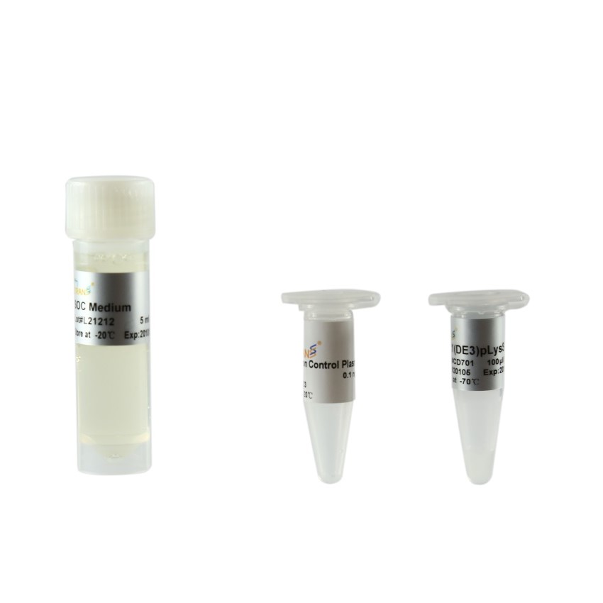 BL21(DE3) pLysS Chemically Competent Cell