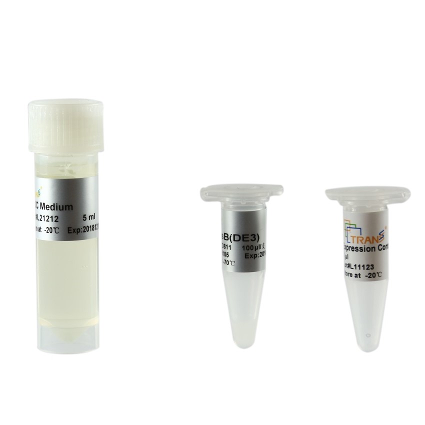 TransB(DE3) Chemically Comptent Cell