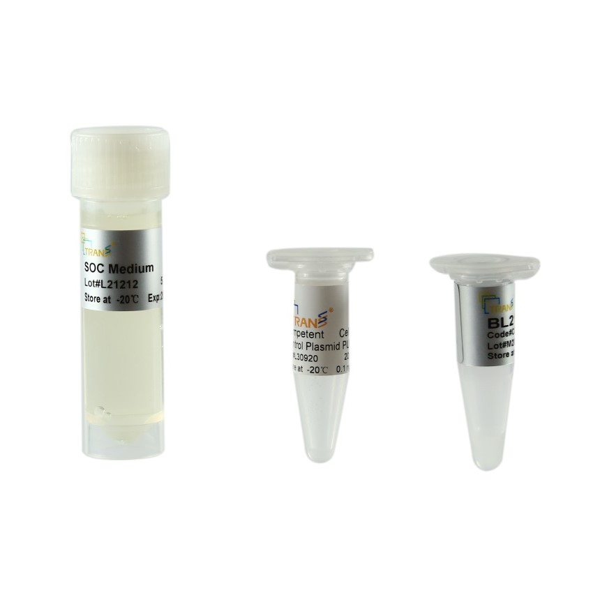 BL21 Chemically Competent Cell