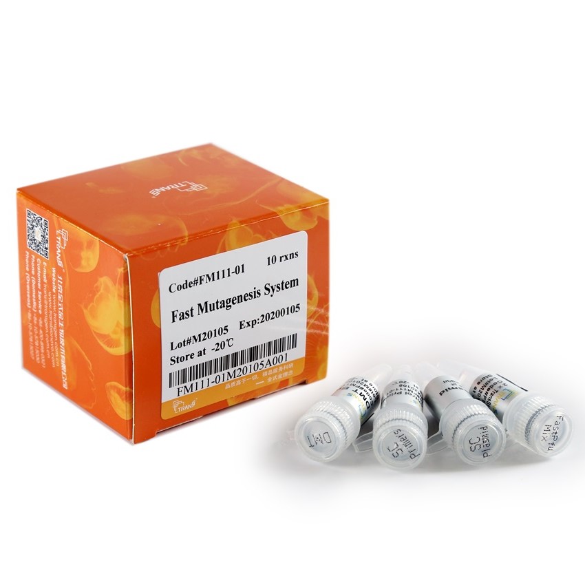 Fast Mutagenesis System