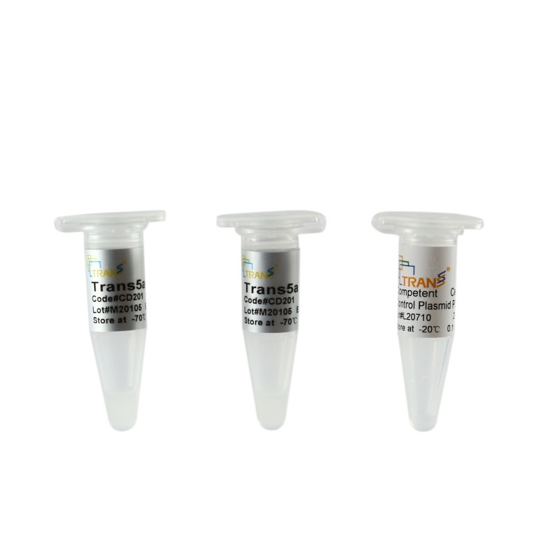 Trans5 alpha Chemically Competent Cell