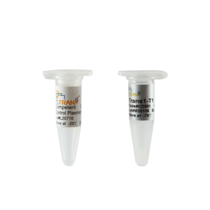 Trans1-T1 Phage Resistant Chemically Competent Cell