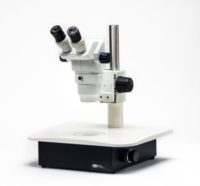 PZMIII-MI Stereo Microinjection Microscope