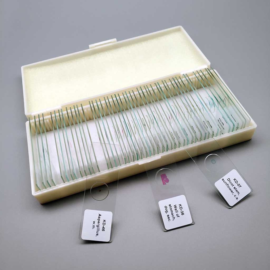 General Biology Set - Prepared Microscope Slide Set