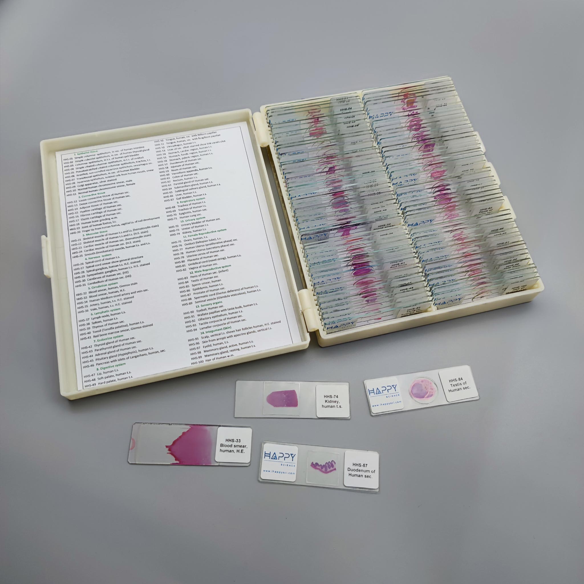 Histology Set - Prepared Microscope Slide Set