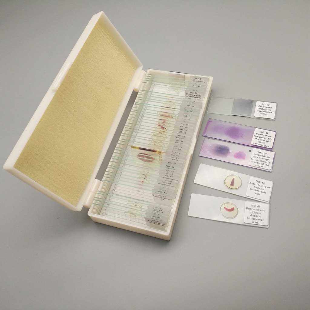 Parasitology Set - Prepared Microscope Slide Set