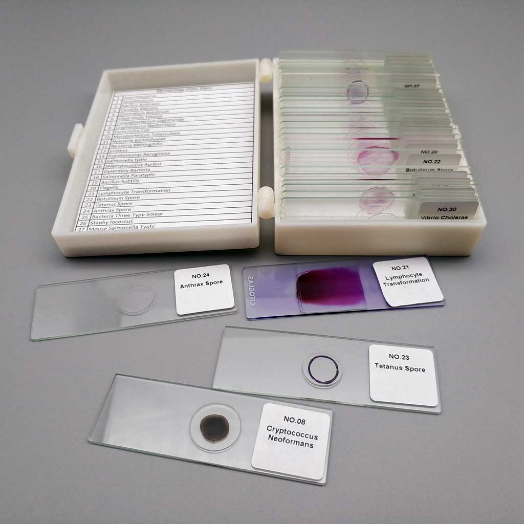 Microbiology Set - Prepared Microscope Slide Set