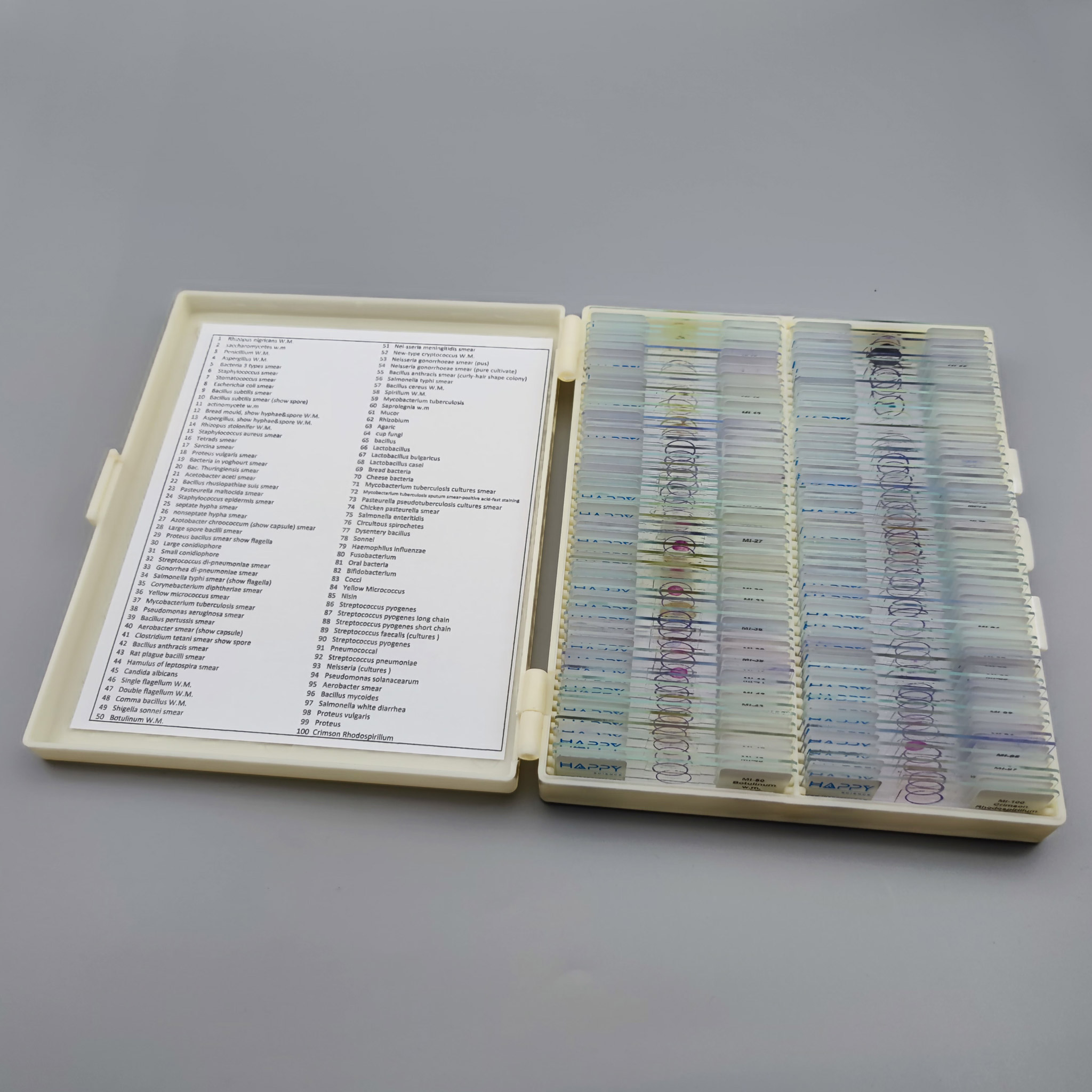 Covid-19 Set - Prepared Microscope Slide Set