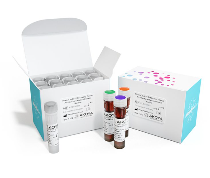 PhenoCode Discovery Panels