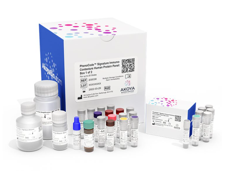 PhenoCode Signature Activated TIL Status Human Protein Panel