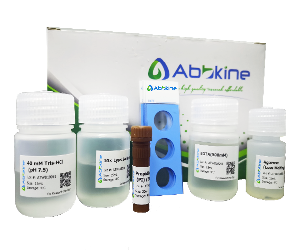 Comet Assay Kit (3-Well Slides)