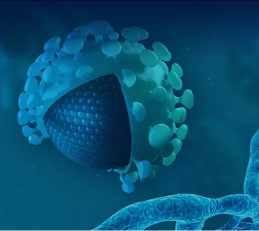 mRNA Synthesis Services