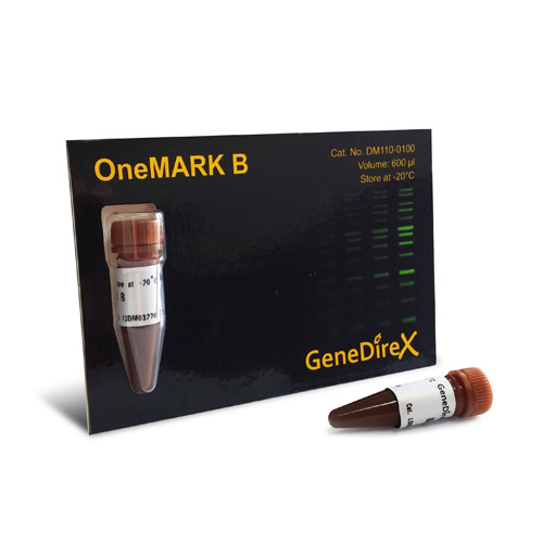 OneMARK B (Ready-to-Use)