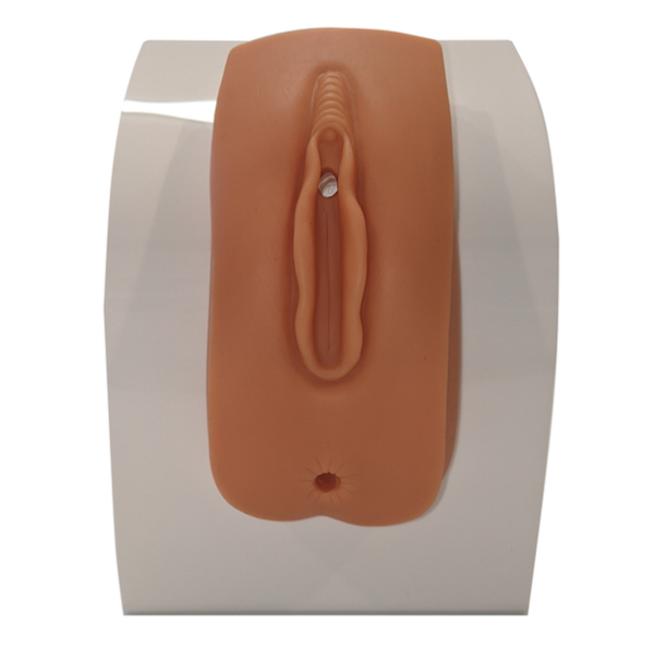 Anatomy Lab Female Urinary Catheterization and Enema Trainer with Stand