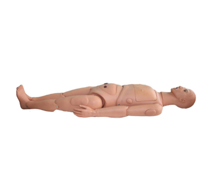 Anatomy Lab Basic Nursing Dual Sex Manikin