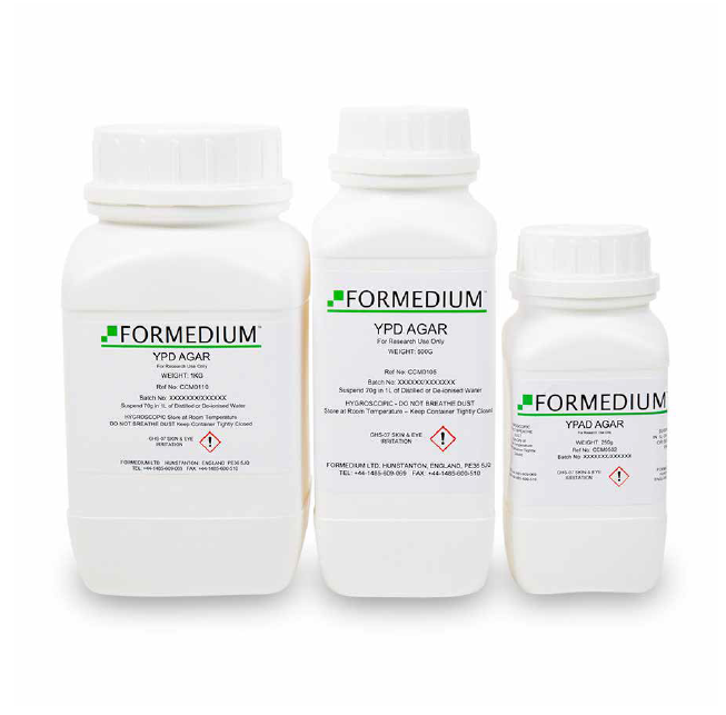 Saccharomyces Cerevisiae