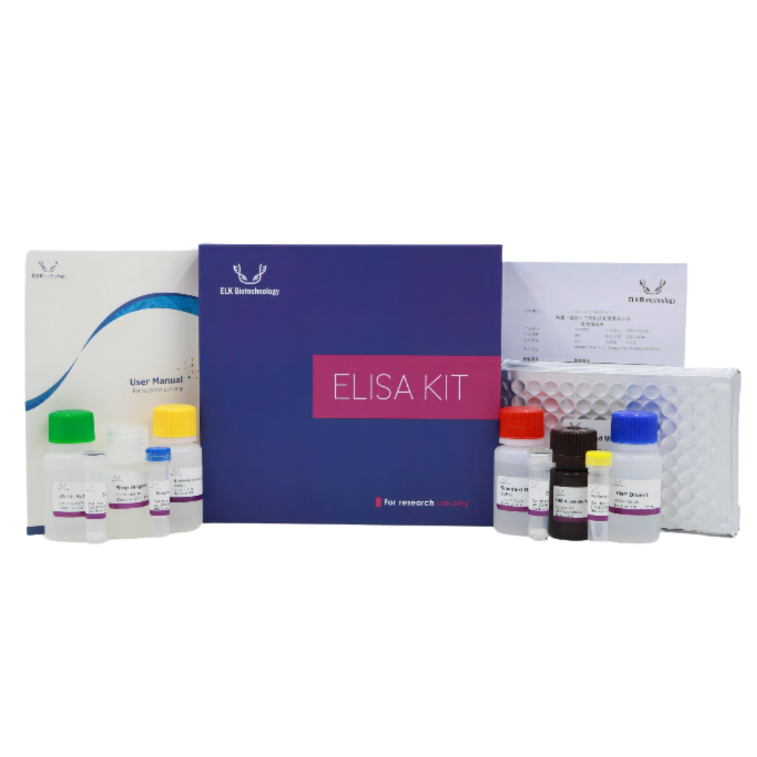 ELK1270 Human IL1b (Interleukin 1 Beta) ELISA Kit
