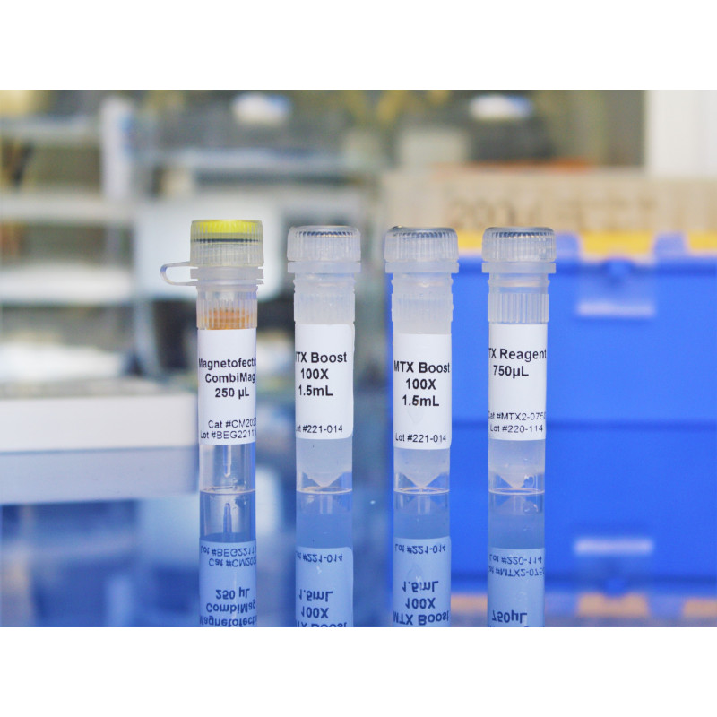 MagnetoFectamine O2 Transfection Kit