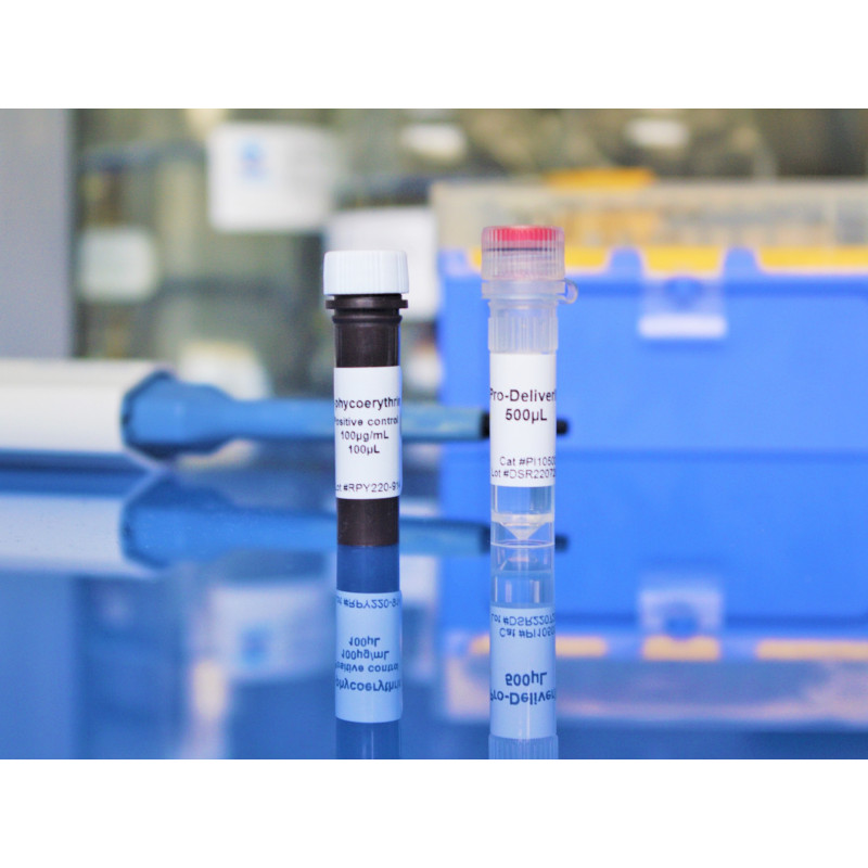 Pro-DeliverIN™ Transfection Reagent