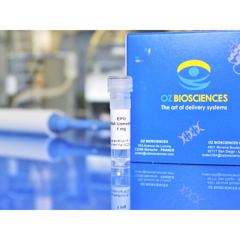 EPO mRNA