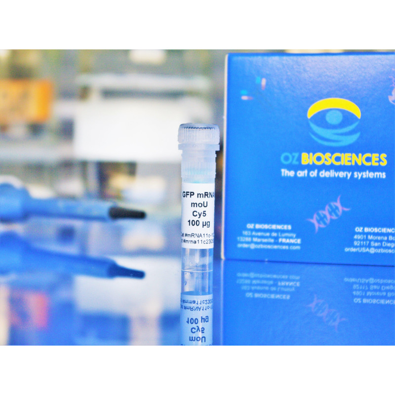 Cy5 GFP mRNA
