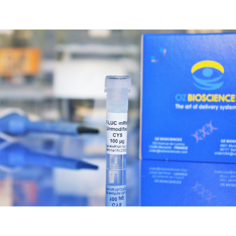 Cy5 F-Luc mRNA