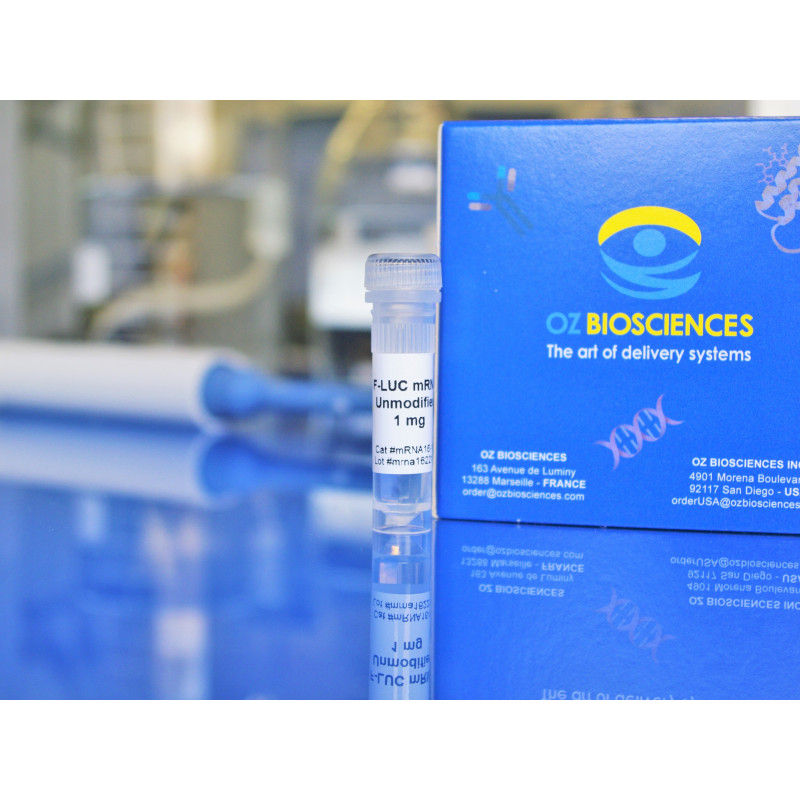 F-Luc mRNA