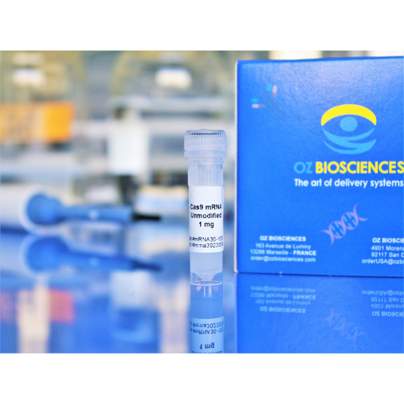 Cas9 mRNA