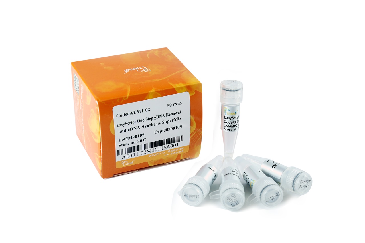 Easy Script One Step gDNA Removal and cDNA Synthesis Supermix 
