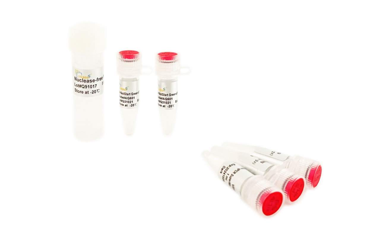 PerfectStart Green qPCR SuperMix