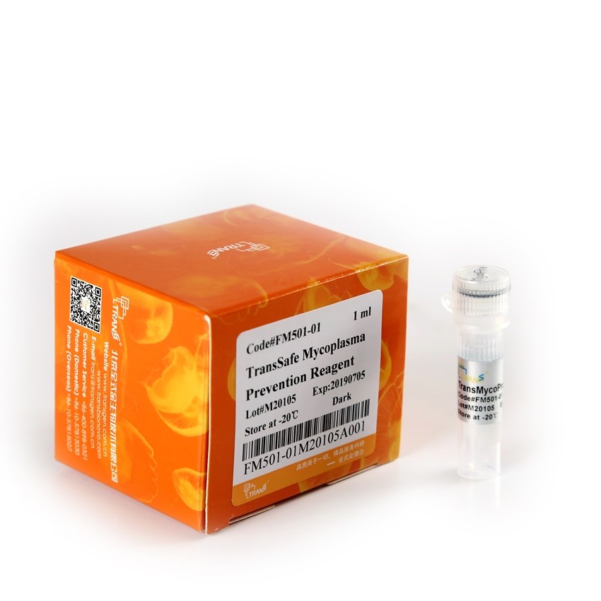 TransSafe™ Mycoplasma Prevention Reagent