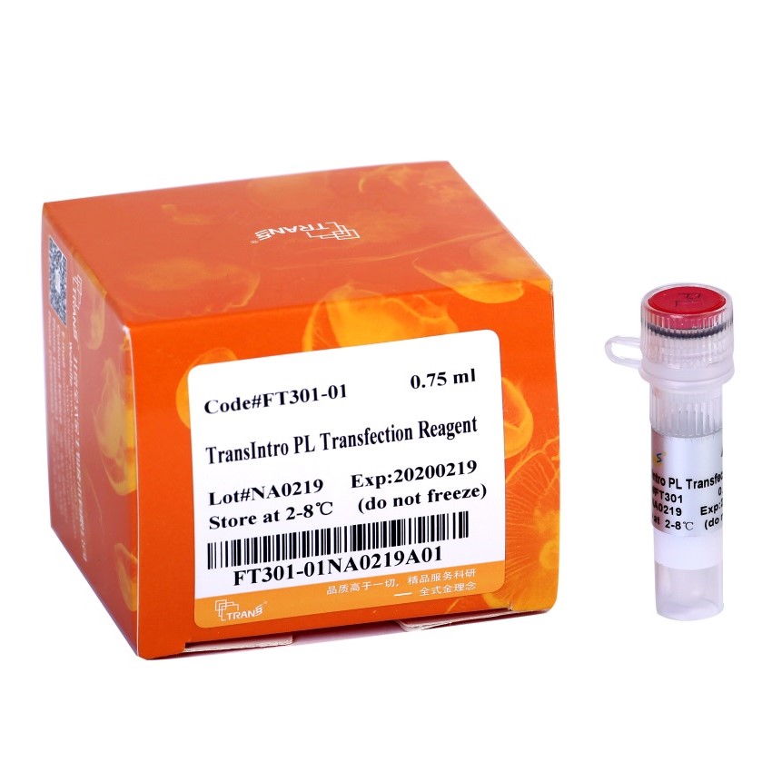 TransIntro™ PL Transfection Reagent