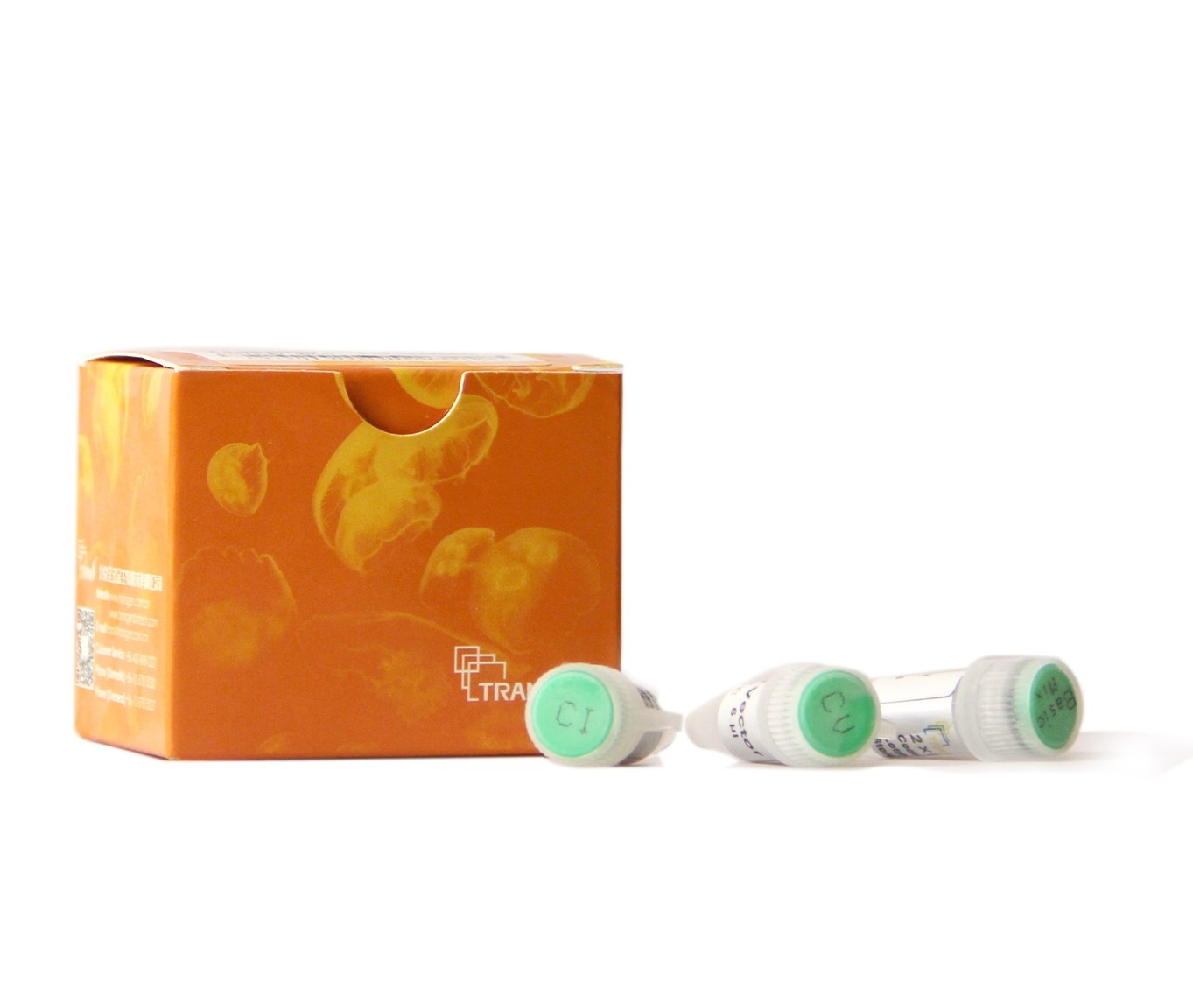 pEASY®-Basic Seamless Cloning and Assembly Kit