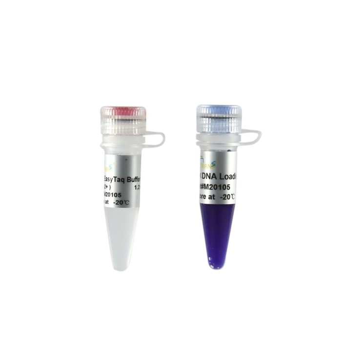 EasyTaq® DNA Polymerase for PAGE