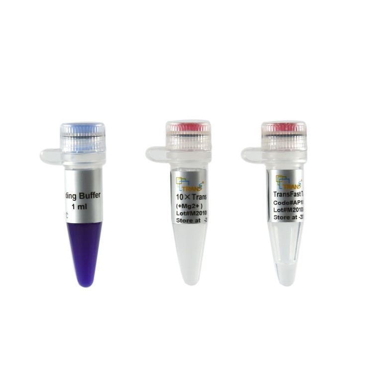 TransFast® Taq DNA Polymerase
