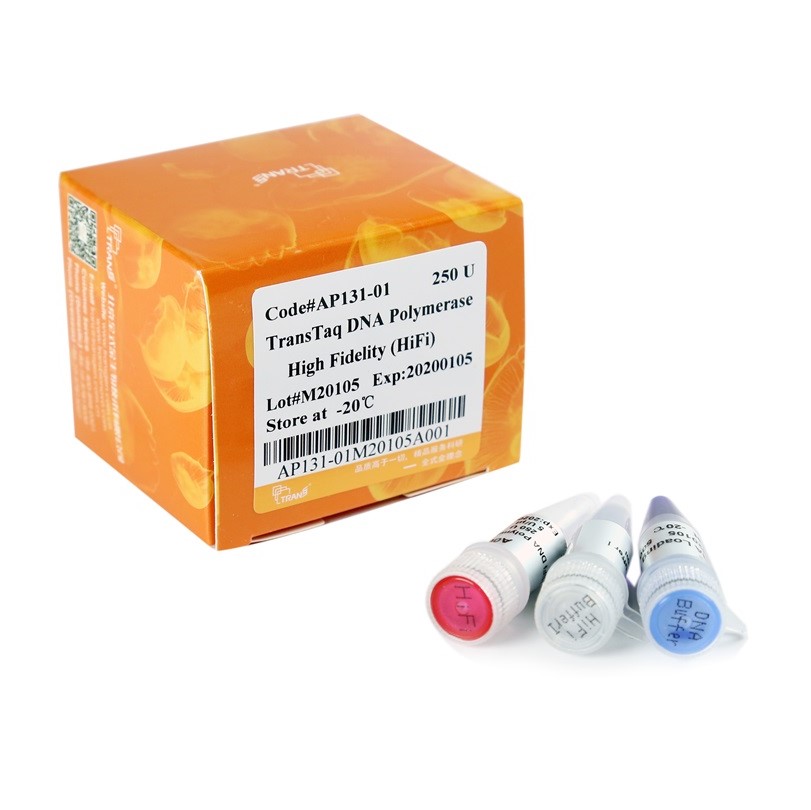 TransTaq® DNA Polymerase High Fidelity (HiFi)