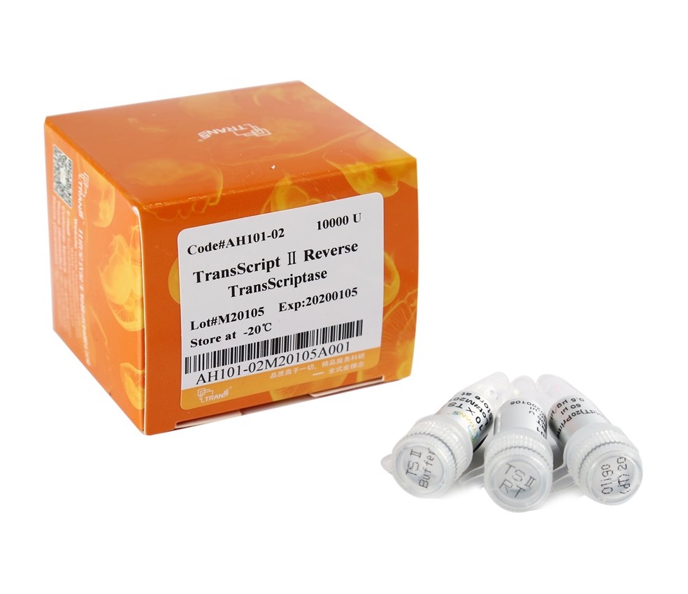 TransScript® II Reverse Transcriptase