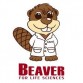 Beaver