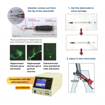 LF200-1.0 - Injection Integrated Bipolar Needle Electrode