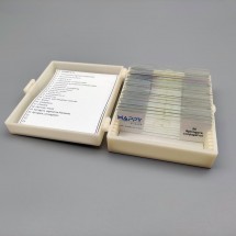 Zoology Set - Prepared Microscope Slide Set